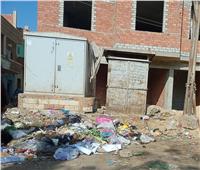 «الشوارع سد والقمامة أكوام».. الإهمال والعشوائية تحاصران سمسطا| صور