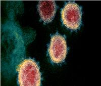 علماء روس يوثقون أول صورة مجهرية لطفرة فيروس كورونا
