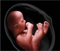 دراسة: أجسام مضادة لـ«كورونا» تكتسبها «الأجنة» داخل رحم الأم