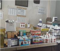 «الزراعة»: تفتيش 268 مركزًا لبيع الأدوية واللقاحات البيطرية خلال يناير