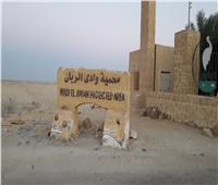رحلة في محمية وادي الريان (1) | من البوابات إلى شلال الملك فاروق.. صور