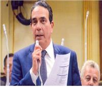 مسؤول أوروبي لأيمن أبو العلا في البرلمان: مصر جاذبة للمهاجرين 