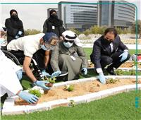 تدشين حديقة «الأخوة الإنسانية» في الإمارات