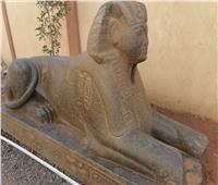 اتجاه لنقل تمثال «شبيه أبوالهول» إلى متحف الإسماعيلية