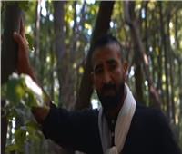 بالفيديو: سعد يسيطر على التريند بـ"بناقص".. و«افرح» بمشاركة الفشنى