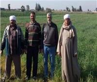 الزراعة تنظم مدرسة حقلية لمحصول القمح  ببورسعيد