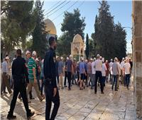 48 مستوطنا إسرائيليًا يقتحمون باحات المسجد الأقصى