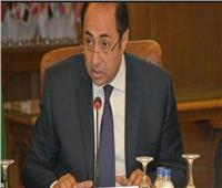 «زكي» يكشف أجندة اجتماع وزراء الخارجية العرب غداً