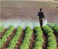 الزراعة: حملات دورية على أسواق المبيدات لضبط المخالفين