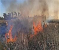 السيطرة على حريق في مزرعة نخيل بإحدى قرى بئر العبد