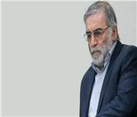 وزير المخابرات الإيراني: مدبر اغتيال فخري زادة عنصر مفصول من الحرس الثوري