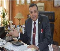 سعد الدين: «سيناء» تستقبل أولى شحنات الغاز المضغوط بدون أنابيب الأسبوع المقبل