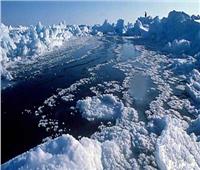 علماء يكشفون أحد أسباب الذوبان السريع لجليد القطب الشمالي