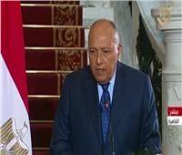 وزير الخارجية: تقوية العلاقات المصرية الباكستانية في كافة المجالات