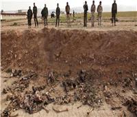 العثور على مقبرة جماعية ووكر لتنظيم «داعش» في جنوب العراق
