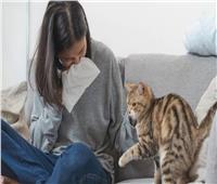 أعراض «حساسية القطط» وطرق الوقاية منها  