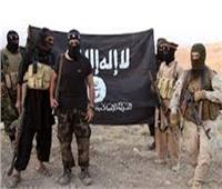 تأجيل أولى جلسات محاكمة 8 متهمين بـ«داعش حلوان» لـ 29 مارس