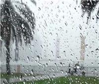 الأرصاد تحذر: أمطار ورياح وأتربة تضرب القاهرة والمحافظات