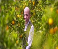 من مزرعة بحجم «بيروت».. مصري يصدر البرتقال إلى 57 دولة