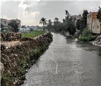 شاهد| أمطار غزيرة على محافظة الجيزة‎