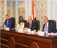 نبيلة مكرم تستعرض جهود وزارة الهجرة في اجتماع لجنة المشروعات الصغيرة بمجلس النواب