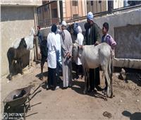 جامعة سوهاج تنظم قافلة بيطرية لقرية أولاد إسماعيل 