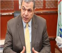 «سعفان»: الدولة المصرية ظهير قوي للعاملين بالخارج