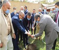 زراعة 1500 شجرة زيتون بديوان محافظة المنوفية ضمن مبادرة «هنجملها»