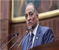 القصبي: مصر تدعم حقوق الإنسان والأفعال ترد على مزاعم المنظمات المشبوهة