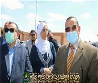محافظ شمال سيناء: افتتاح سوق العريش للجملة 25 أبريل| فيديو 
