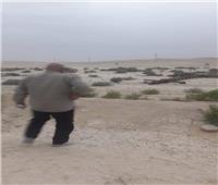 طقس متقلب في شمال سيناء.. أمطار وارتفاع درجات الحرارة