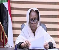 عضو في مجلس السيادة: السودان لا يقبل الضيم والاعتداء والاستهانة به