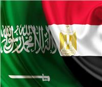 السعودية تعرب عن دعمها لمصر في التعامل مع جنوح سفينة بقناة السويس