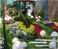 شينخوا: معرض «زهور الربيع» يساعد الشركات وسط الركود الناجم عن «كورونا»