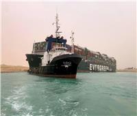 حماة الوطن: أزمة السفينة أثبتت قدرة مصر على حماية حركة التجارة العالمية