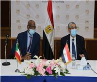 453 مليون جنيه مصري لرفع قدرة خط الربط الكهربائي بين مصر والسودان