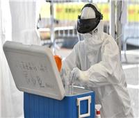 كوريا الجنوبية تسجل 558 إصابة جديدة بفيروس كورونا 