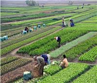 فيديو| محمد القرش: الدولة المصرية تعمل على تنمية القطاع الزراعي 