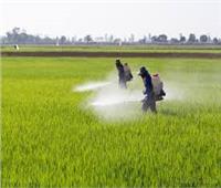 «الزراعة» تنظم دورة حول الاستخدام الآمن لمبيدات الحشائش بالغربية