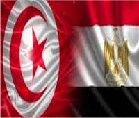 أستاذ علوم سياسية يستعرض العلاقات المصرية التونسية ومجالات التعاون 
