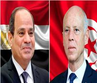 عز العرب: زيارة الرئيس التونسي لمصر تطرقت لاستقرار ليبيا