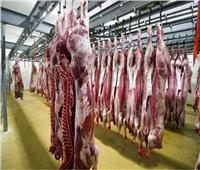 الخدمات البيطرية تشن حملات على أسواق اللحوم والأسماك