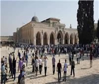 مجلس الإفتاء في فلسطين يدعو لشد الرحال إلى المسجد الأقصى خلال رمضان