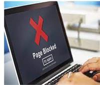 باكستان تحجب مواقع التواصل الاجتماعي مؤقتًا «للحفاظ على الأمن العام»