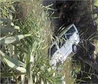 إنقاذ عامل وزوجته وابنهما سقطت بهم سيارتهم في ترعة «الرياح التوفيقي» بالدقهلية