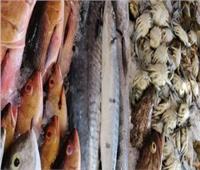  أسعار الأسماك في سوق العبور بسابع أيام شهر رمضان