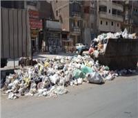 القليوبية تواجهة انتشار القمامة في شبرا الخيمة .. بمحاضر فورية وغرامات 