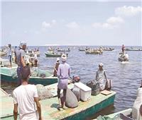 أسماك البردويل حطمت الأسعار فى أسواق «شمال سيناء»