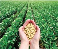 «الزراعة» تصدر التوصيات الفنية لمزارعي محصول فول الصويا لشهر مايو