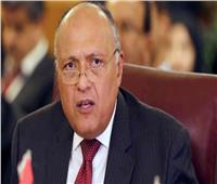 سامح شكري: مصر تدعم الأشقاء الفلسطينيين حكومة وشعبًا
